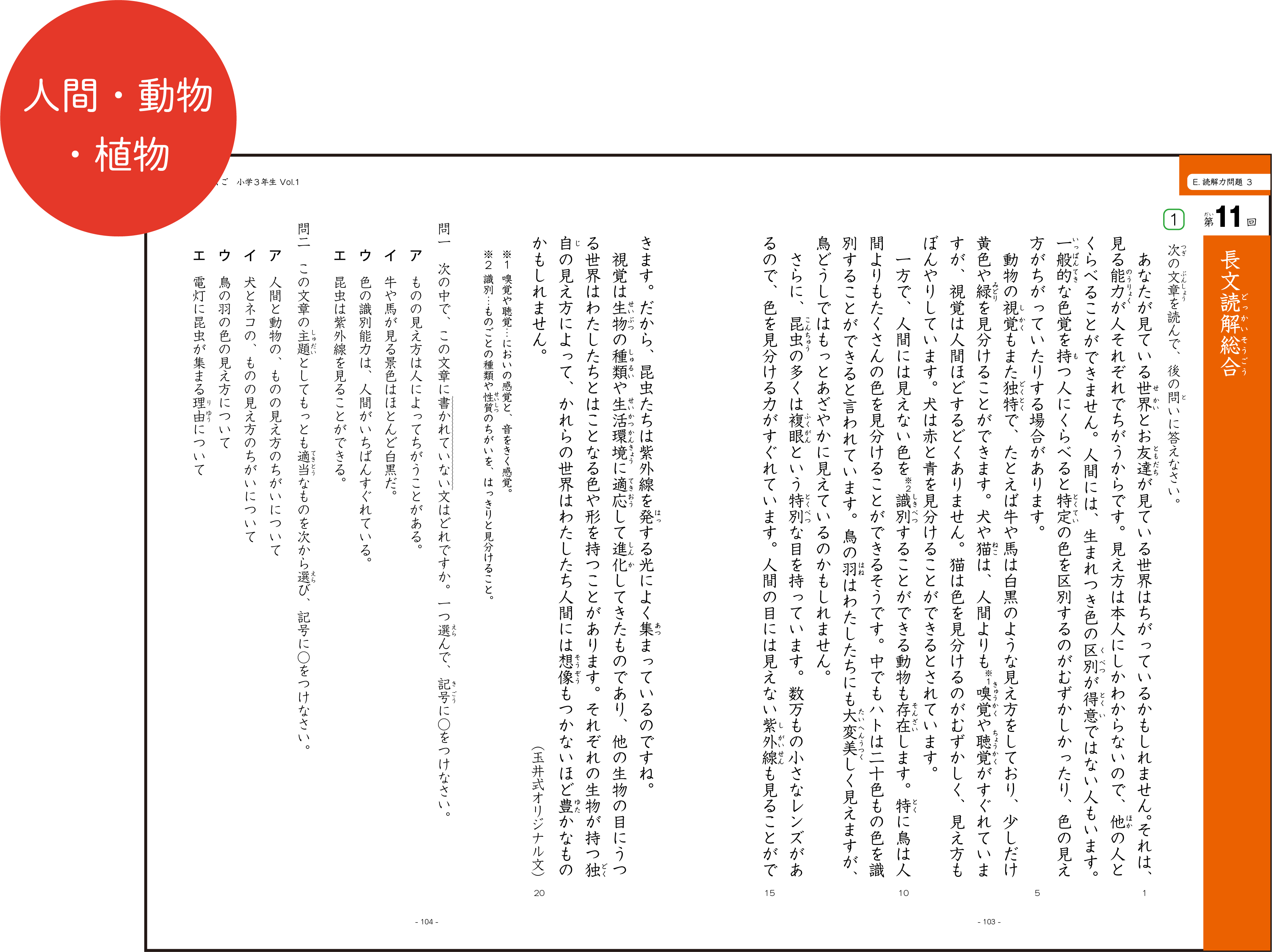 「人間・動物・植物」というテーマのテキスト問題